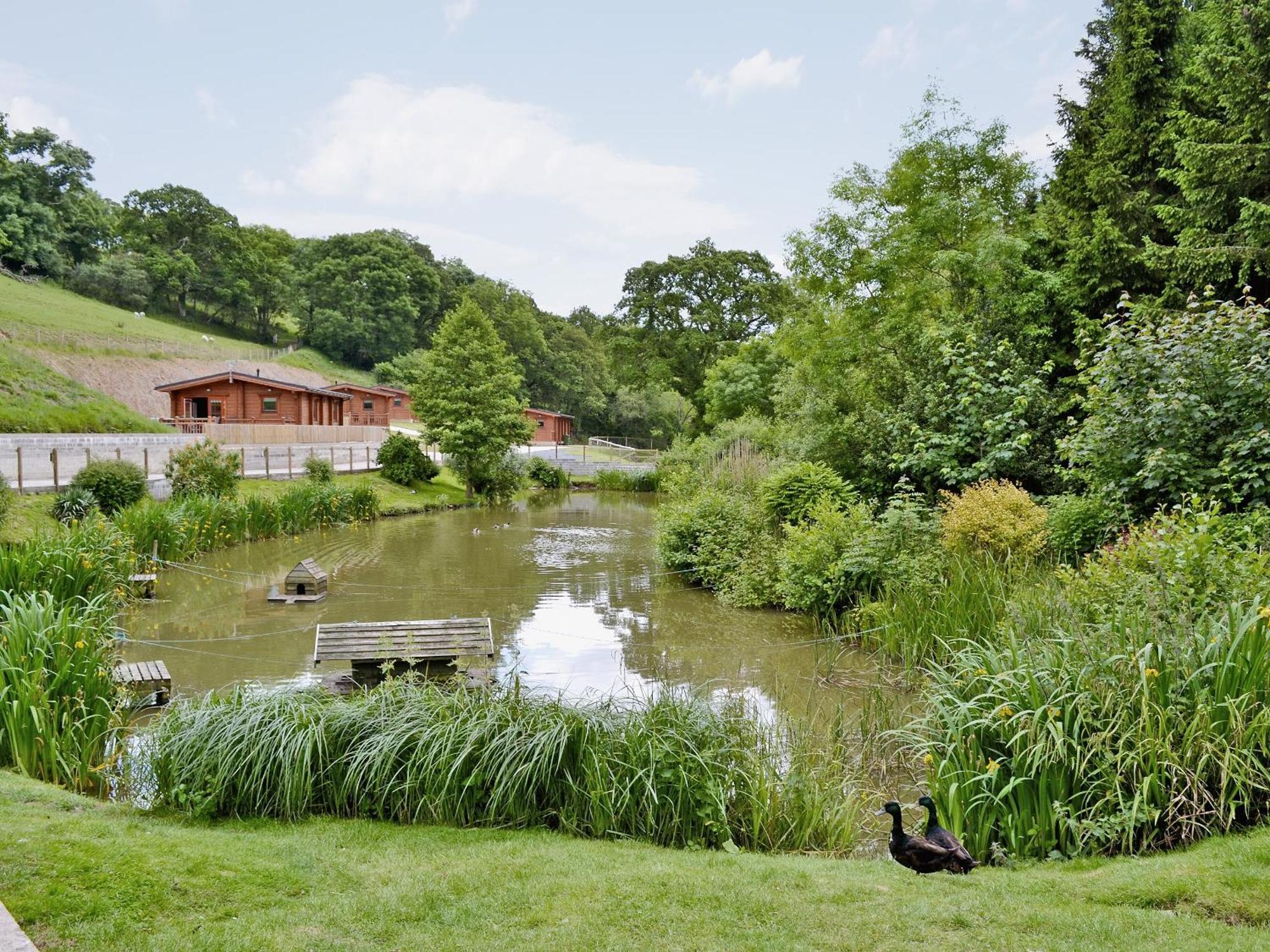 Cherrytree Cottage - 29937 Holcombe Burnell エクステリア 写真